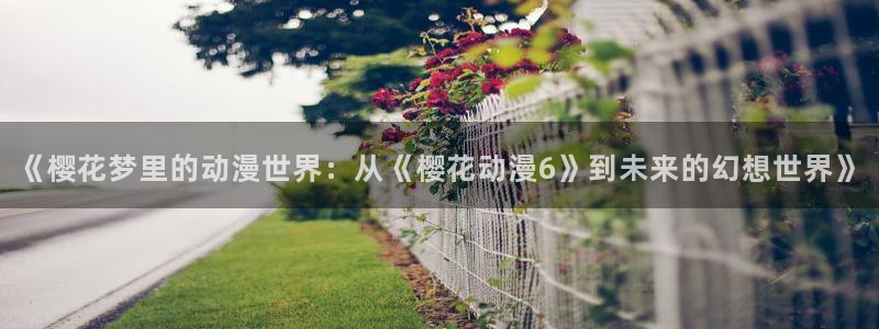囧次元下载官方app