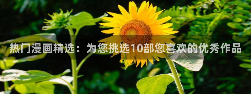 囧次元是哪个公司的