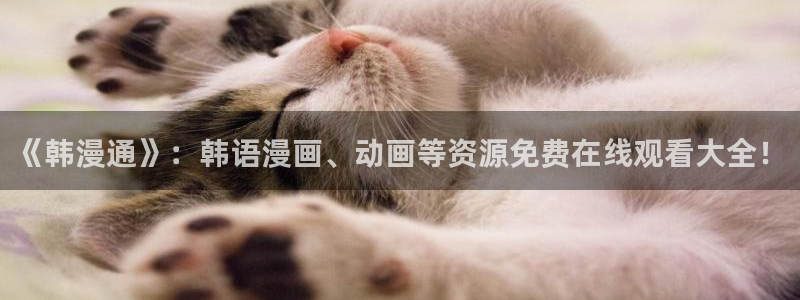 囧次元网页版在线
