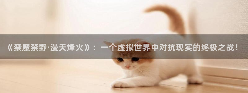 囧次元链接