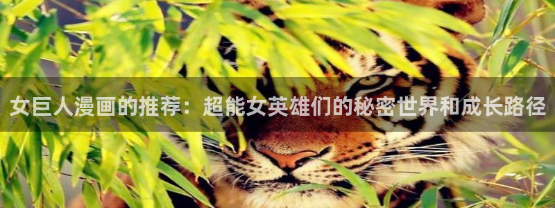 囧次元官方网页版入口