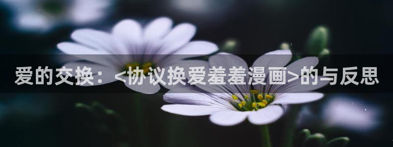 囧次元免费