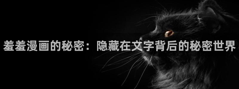囧次元动漫app