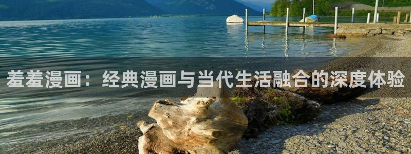囧次元官方官网