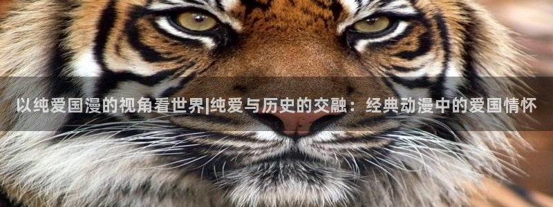 囧次元官网在线观看免费入口