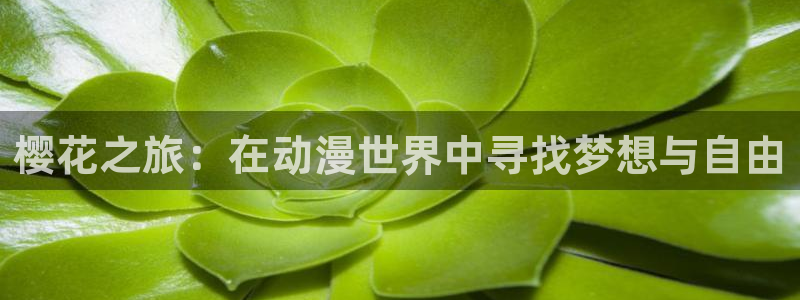 b次元下载官网