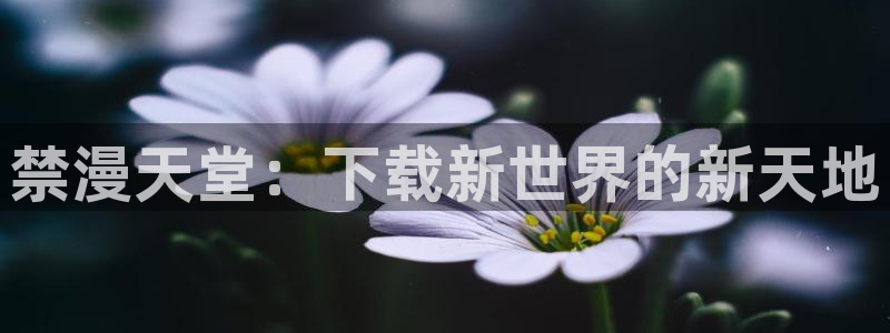囧次元官网入口网址