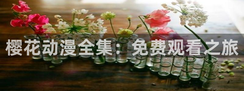 囧次元官方入口官网