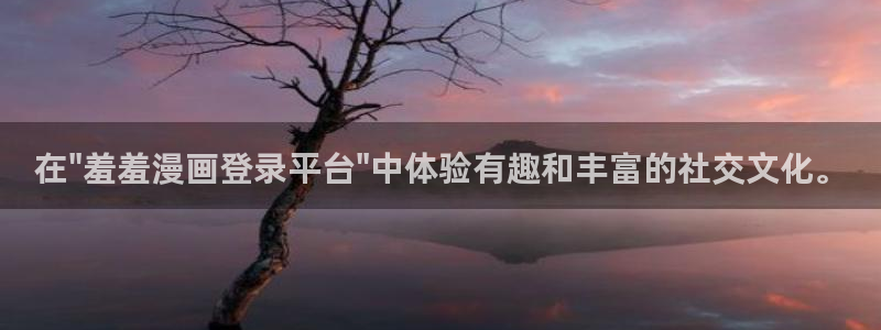 囧次元软件