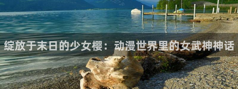 囧次元动漫官方正版