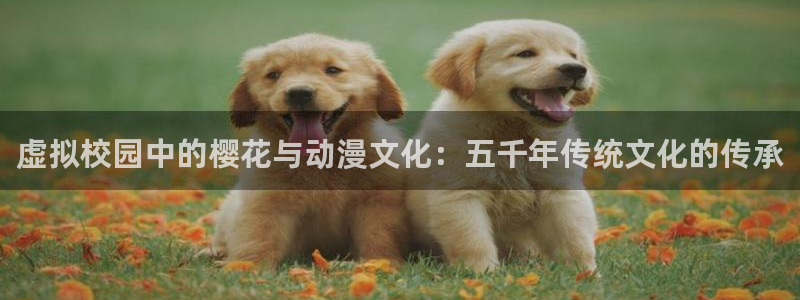 囧次元官方网址：虚拟校园中的樱花与动漫文化：五千年传统文化的传承