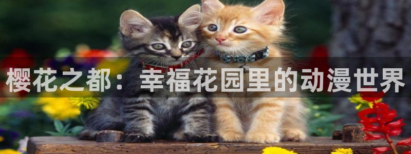 囧次元omofun：樱花之都：幸福花园里的动漫世界